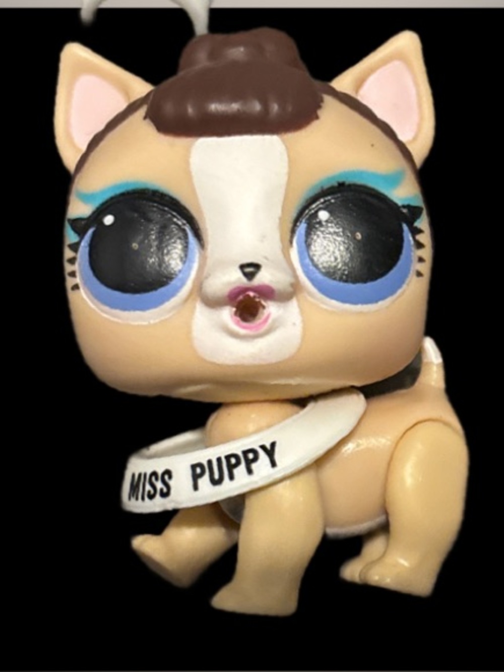 L.O.L. Surprise! Miss Puppy Doll with Pink Accessory